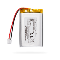 Polymer Battery