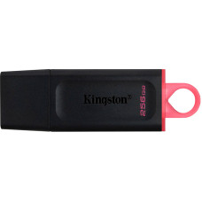 Флешка USB 3.2 Kingston 256GB DT Kyson Exodia Black/Pink