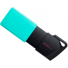 Флешка USB 3.2 Kingston 256Gb DT Exodia M (Black/Teal)