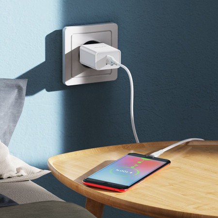 Сетевое зарядное устройство Borofone BN5 Sunlight (QC3.0/1USB) с кабелем Micro Белый