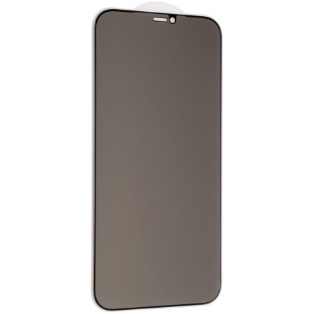 Защитное стекло Gelius Privasy Glass iPhone 12 Pro Max 5D Black