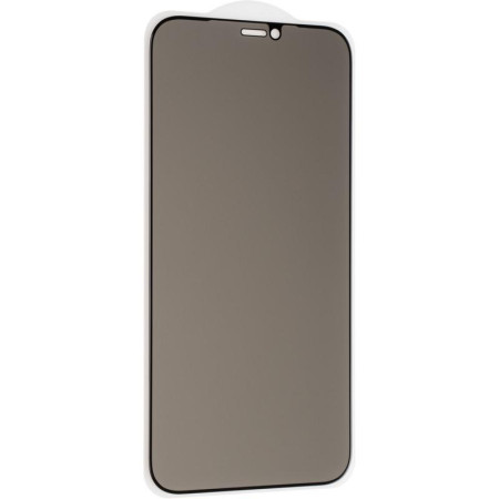 Защитное стекло Gelius Privasy Glass iPhone 12 / 12 Pro 5D Black