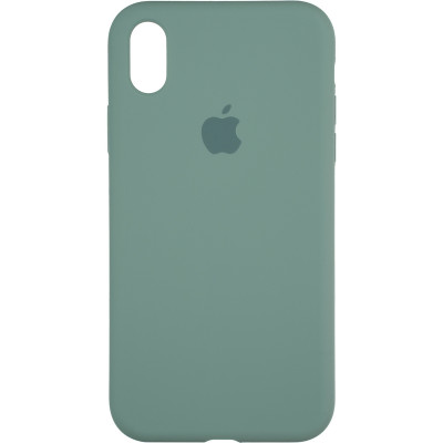 Чохол-силікон оригінал Full Soft Matte iPhone XR Pine Green