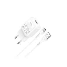 Сетевое зарядное устройство Hoco C96A (1USB/2,1A) с кабелем Type-C Белый