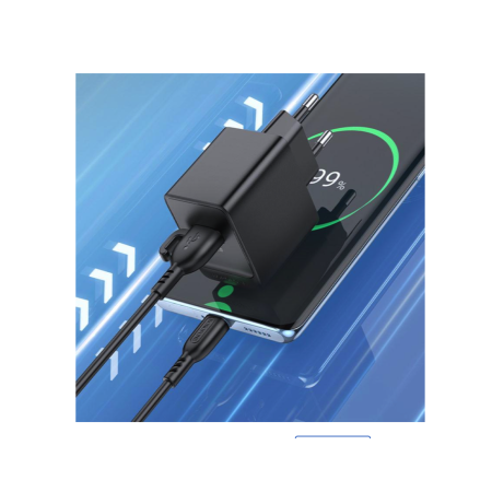Сетевое зарядное устройство Borofone BAS11A Erudite Single Port с кабелем Type-C Черный