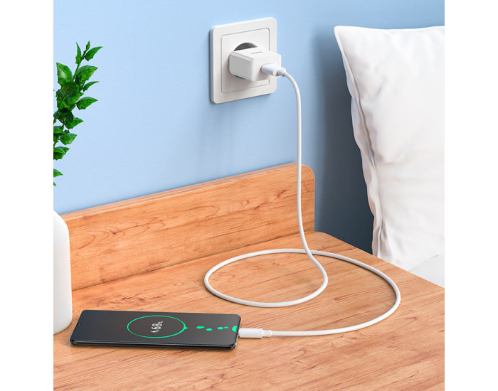 Мережеве зарядний пристрій Hoco C106A Leisure (1USB/2,1A) з кабелем Micro Білий