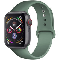 Силиконовый ремешок для Apple Watch Series 38/40 mm (Зеленый / Pine Green)