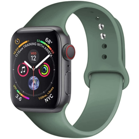 Силиконовый ремешок для Apple Watch Series 38/40 mm (Зеленый / Pine Green)