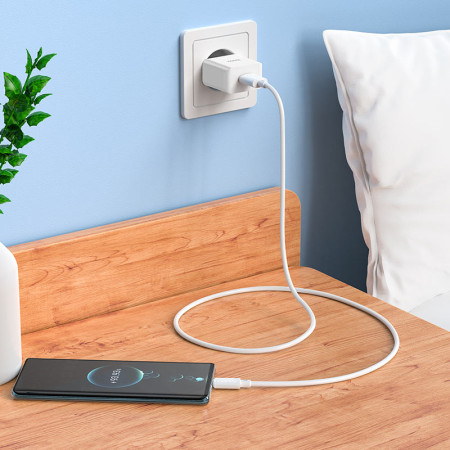 Сетевое зарядное устройство Hoco C106A Leisure (1USB/2,1A) с кабелем Type-C (Белый / White)