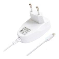 Сетевое зарядное устройство Travel Charger iPhone 5