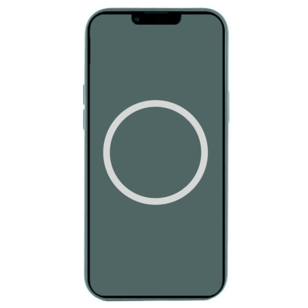 Чехол-силикон оригинал Silicone Case with Magsafe and Animation iPhone 16 Pro Max Lake Green