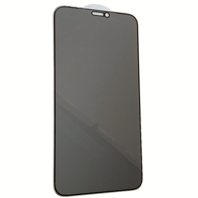 Захисне Скло Privasy (full glue) для iPhone 11 / XR 5D Black