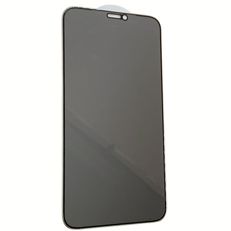 Защитное стекло Privasy (full glue) для  iPhone 11 / XR 5D Black