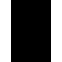 Дисплей с сенсорным экраном (модуль) Samsung A037 A03s, черный, желтый шлейф, оригинал 160.5mm x 72mm (Класс B)