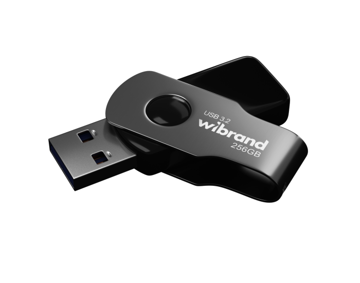 Флешка USB 3.2 Wibrand 256GB Gen1 Lizard Black