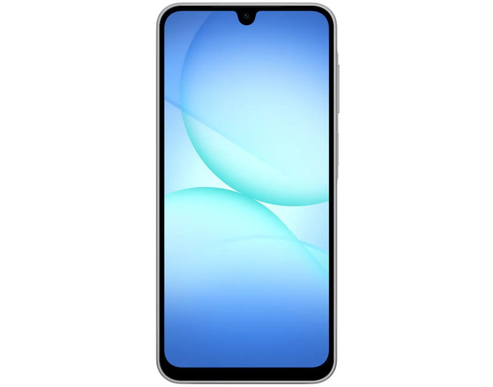 Мобильный телефон Samsung Galaxy A17 4/128GB Gray (SM-A175FZAB) (UA)