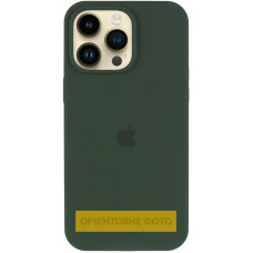 Чехол-силикон оригинал Full Soft Matte with MagSafe iPhone 17 Pro, Cyprus Green