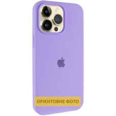 Чехол-силикон оригинал Full Soft Matte with MagSafe iPhone 17 Pro, Dasheen