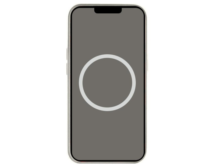 Чехол-силикон оригинал Full Soft Matte with MagSafe and Animation iPhone 16 Pro, Stone gray