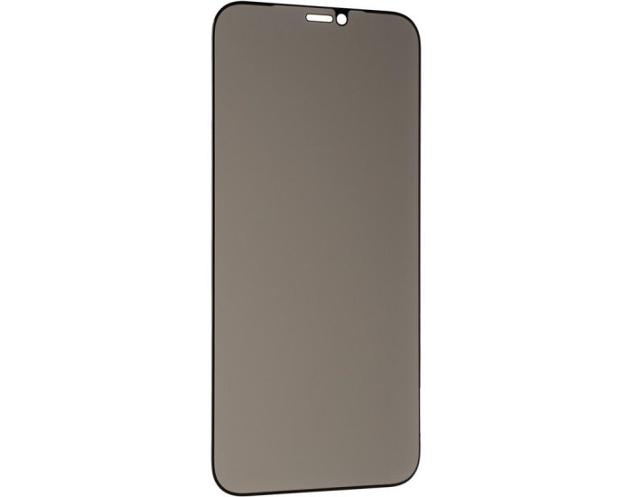 Захисне Скло Gelius Privasy Glass iPhone XS Max / 11 Pro Max 5D Black