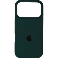 Чехол-силикон оригинал Case Full Protective iPhone 17 Pro, Green grass