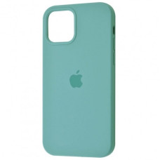 Чехол-силикон оригинал Soft Matte iPhone 12 Pro Max, Cactus
