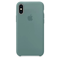 Чехол-силикон оригинал Soft Matte iPhone XS Max, Cactus
