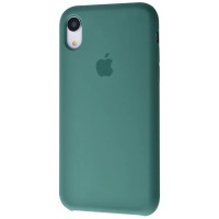 Чохол-силікон оригінал Full Cover Soft Matte iPhone XR, Cactus