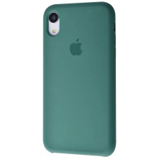 Чехол-силикон оригинал Full Cover Soft Matte iPhone XR, Cactus
