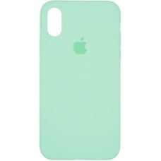 Чехол-силикон оригинал Full Soft Matte iPhone X /XS (Зеленый / Fresh Green) 
