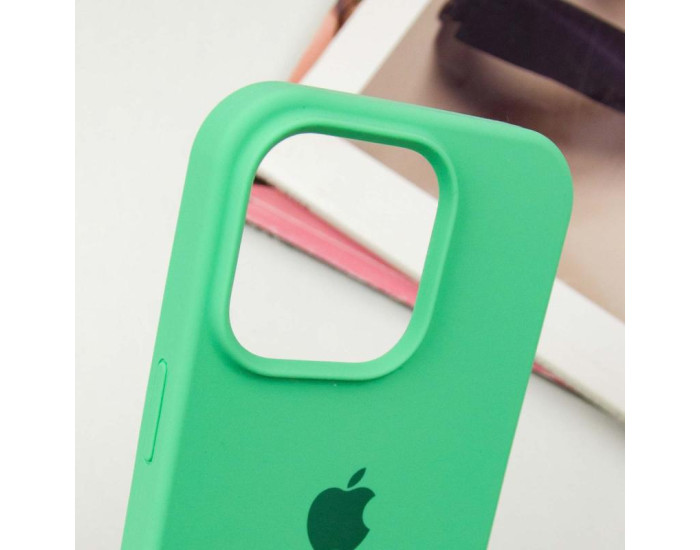 Чохол-силікон оригінал Case Full Protective iPhone 16 Pro (Зелений / Spearmint)