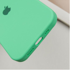 Чохол-силікон оригінал Case Full Protective iPhone 16 Pro (Зелений / Spearmint)
