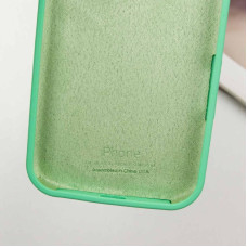 Чехол-силикон оригинал Case Full Protective iPhone 16 Pro (Зеленый / Spearmint)